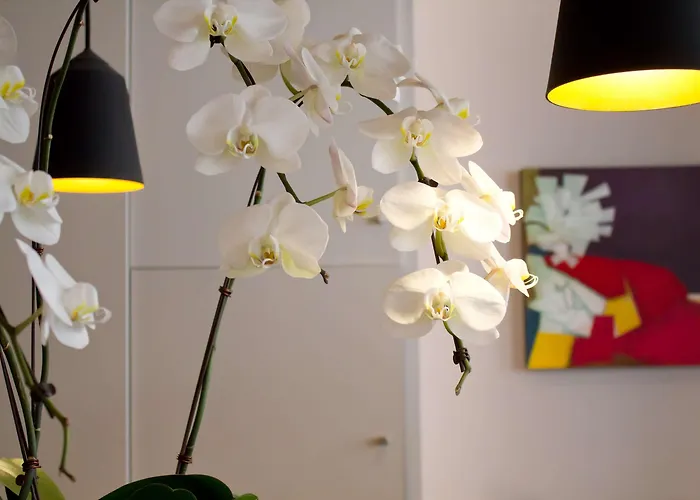 Jardin De Cluny ホテル パリ